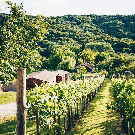 Dutch Hill Zalacsány Exterior foto