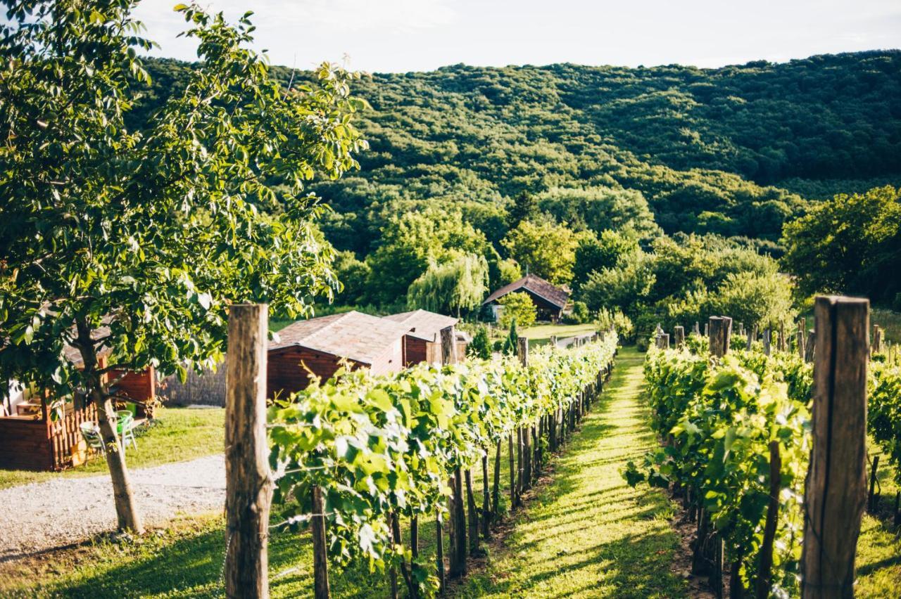 Dutch Hill Zalacsány Exterior foto